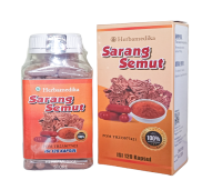 Ekstrak Sarang Semut Herbamedika 120 Kapsul BPOM